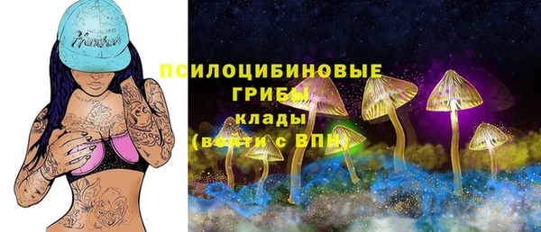 эйфоретик Алексеевка