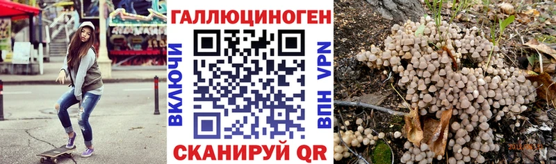 Псилоцибиновые грибы прущие грибы  Ладушкин 